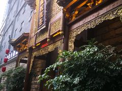 -成都蓝城悦杏温泉美食酒店(宽窄巷子店)