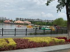 -上海长兴岛郊野公园