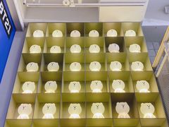 -line friends(明洞旗舰店)