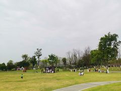 -府河摄影公园