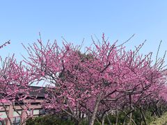 -太湖月亮湾