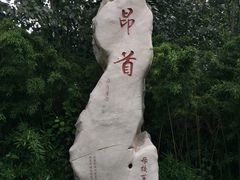 -山东大学(洪家楼校区)