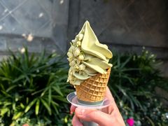 -山塘街