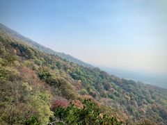 -紫金山索道-售票处