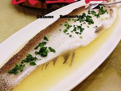 -阳光雷迪森广场酒店(中山东路店)