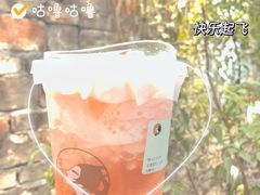 -茶理宜世(东方宝泰店)