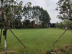 -白鹭湾湿地公园