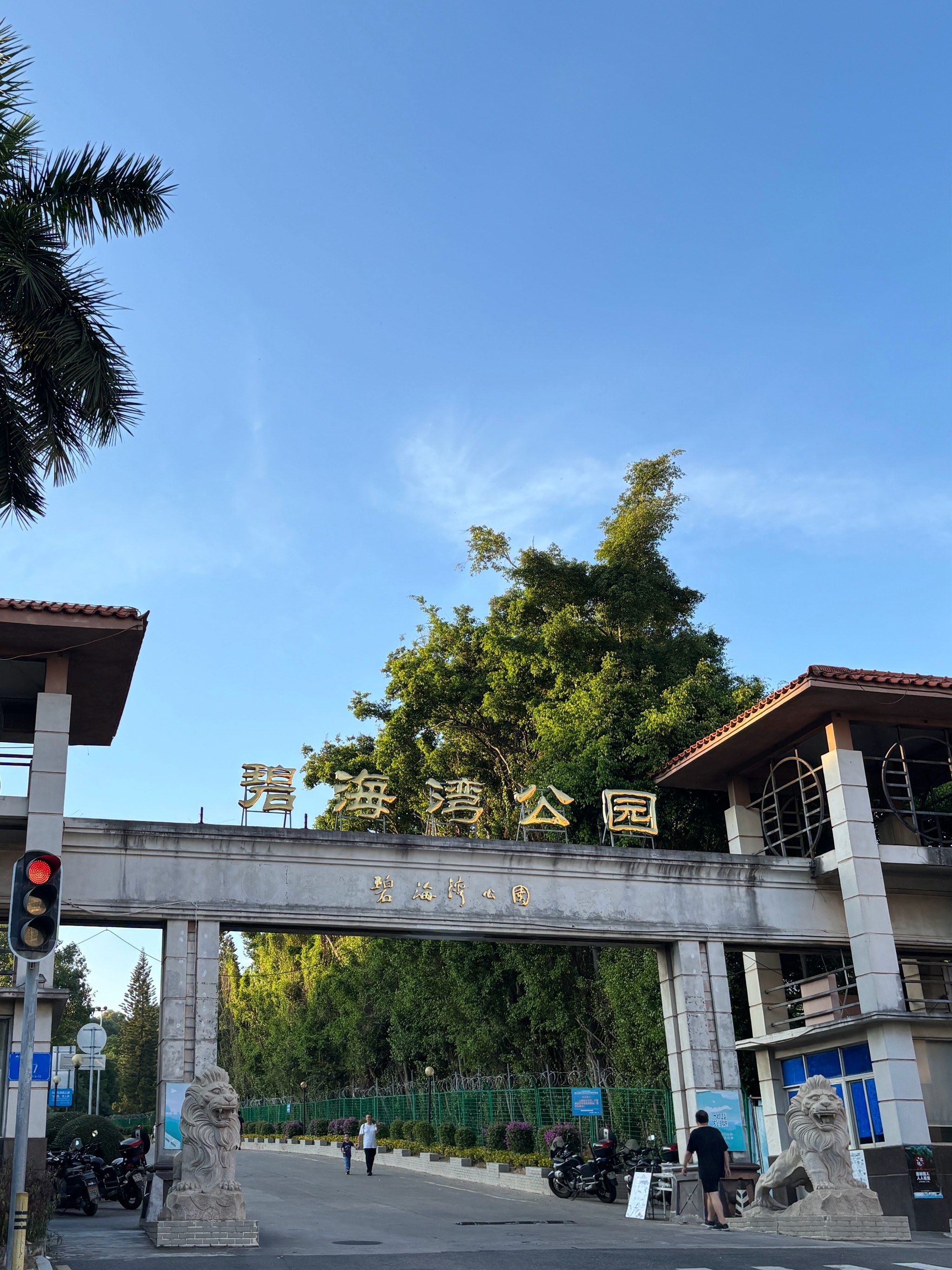 碧海湾公园有许多百年老树.消防安全教育任重道远