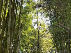 -广东温泉宾馆