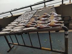 -南沙十九涌渔人码头-南门