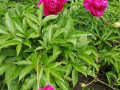 -长春公园(普阳街道)