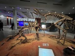 -自贡恐龙博物馆