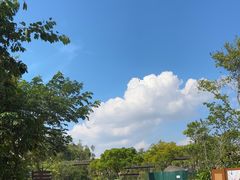 -河川生态园