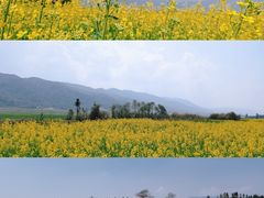 -桤木河湿地公园