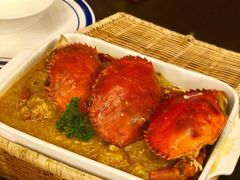-茉莉.Red Crab