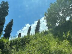 -新疆那拉提国家旅游度假区