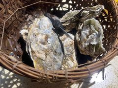 -蚝堡·生蚝海鲜烧烤物种起源•海肠捞饭(刘公岛店)