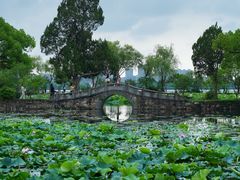 -无锡蠡湖国家湿地公园-蠡园