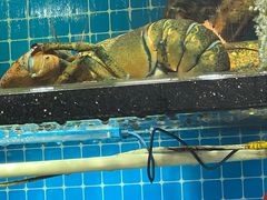 -醉壹号海鲜大排档·老厦门特色菜(厦门美食地标店)