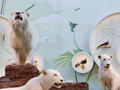 -陕西自然博物馆