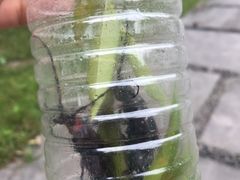 -南通博物苑-崇川人民公园