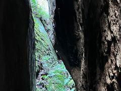 -秦岭终南山世界地质公园翠华山景区