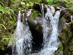 -藏龙百瀑风景区