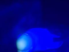 -大连圣亚海洋世界
