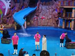 -烟台海昌鲸鲨海洋公园