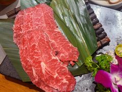 -杨小佳·齐齐哈尔烤肉·烤串(广州店)