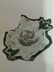 -Black Tattoo Studio