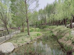 -郑州植物园