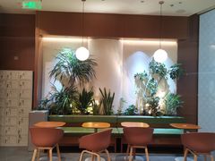 -奈雪的茶(石家庄万象城店)