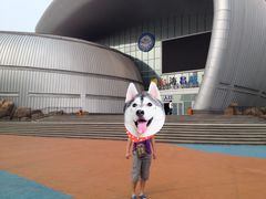 -烟台海昌鲸鲨海洋公园