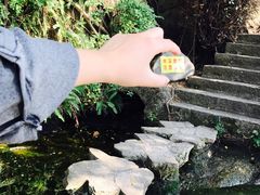-鸿山公园