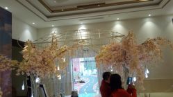 -忆江南婚礼策划(姑苏店)
