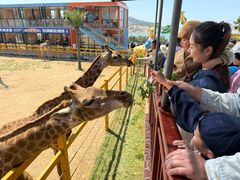 -西霞口神雕山野生动物世界