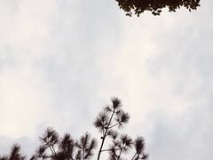 -雨花胜境