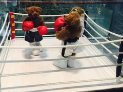 -济州岛泰迪熊博物馆