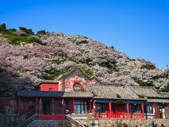 -泰山风景名胜区