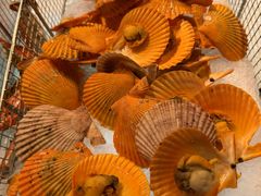 -杭州温德姆至尊豪廷大酒店