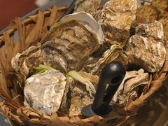 -新鞑烤羊腿(康平路店)