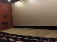 -汉阳天河电影城(王家湾店)