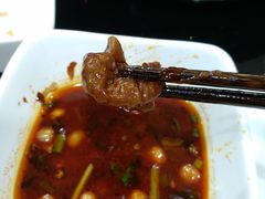 特色肥肠-烧哥美蛙肥肠鱼火锅·十五年社区店