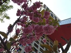 -蔓兰家的四季S0餐厅·融合菜(当代MOMA店)