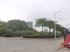 -大亚湾红树林城市湿地公园
