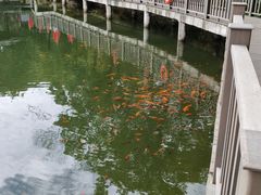 -沂蒙山旅游区云蒙景区(蒙山国家森林公园)