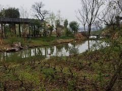 -鹅湖玫瑰文化园