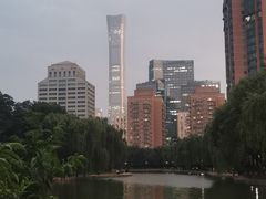 -团结湖公园