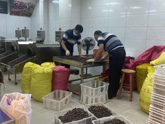 -阿男野栗王(金门路店)